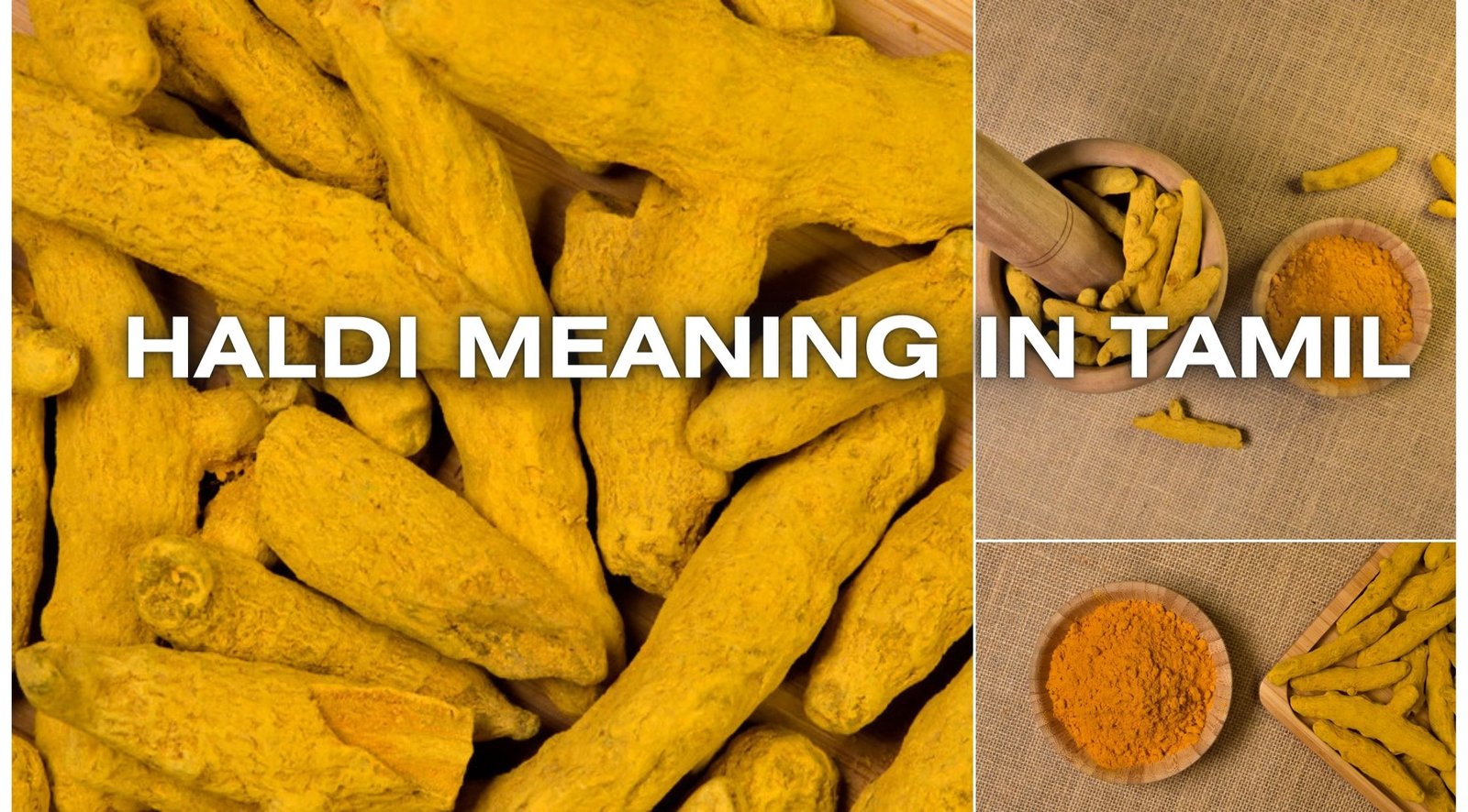 Haldi Meaning in Tamil